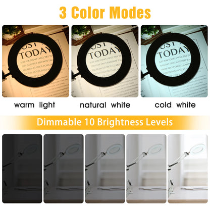 Lupa LED 72 Luces con Brazo Articulado – Aumento 8X/10X, 3 Modos de Color, USB