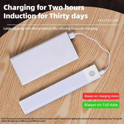 Wireless LED Night Light with Motion Sensor, USB Rechargeable Night Lamp for Wardrobe, Under Cabinet Lighting for Kitchen
